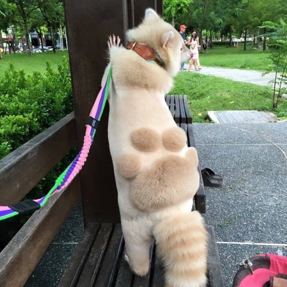 Meet your Posher, Yq